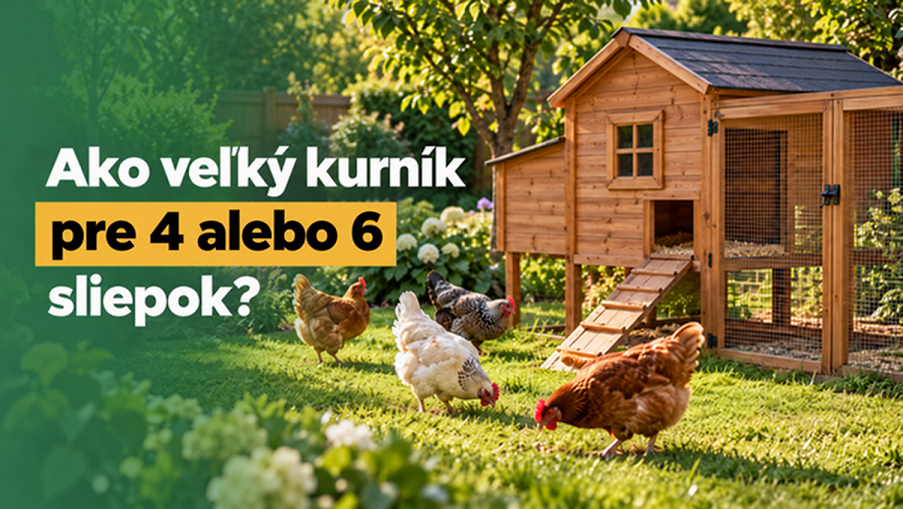 Ako veľký kurník pre 4 alebo 6 sliepok?