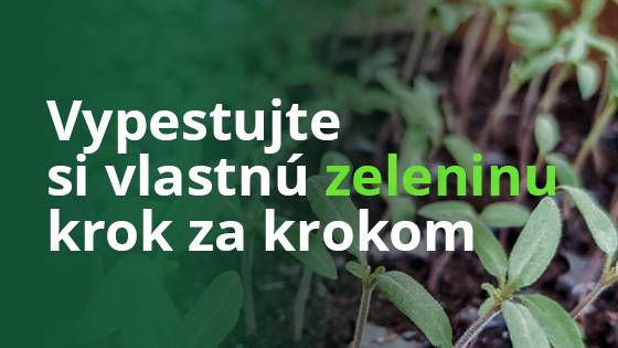 Vypestujte si vlastnú zeleninu krok za krokom