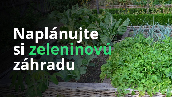 Naplánujte si zeleninovú záhradu