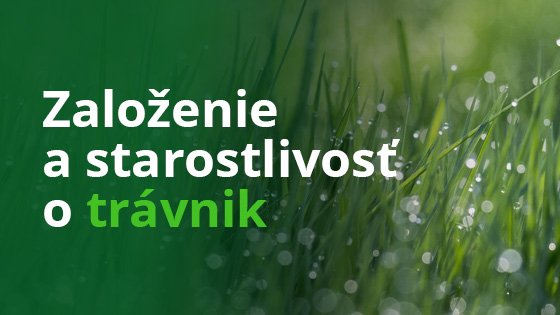 Založenie a starostlivosť o trávnik