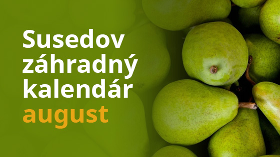 Susedov záhradný kalendár - august