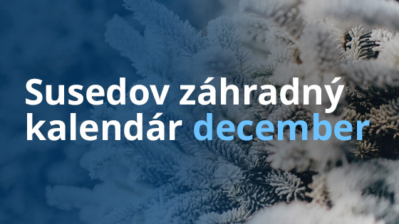 Susedov záhradný kalendár - december