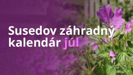 Susedov záhradný kalendár - júl