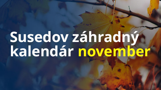 Susedov záhradný kalendár - november