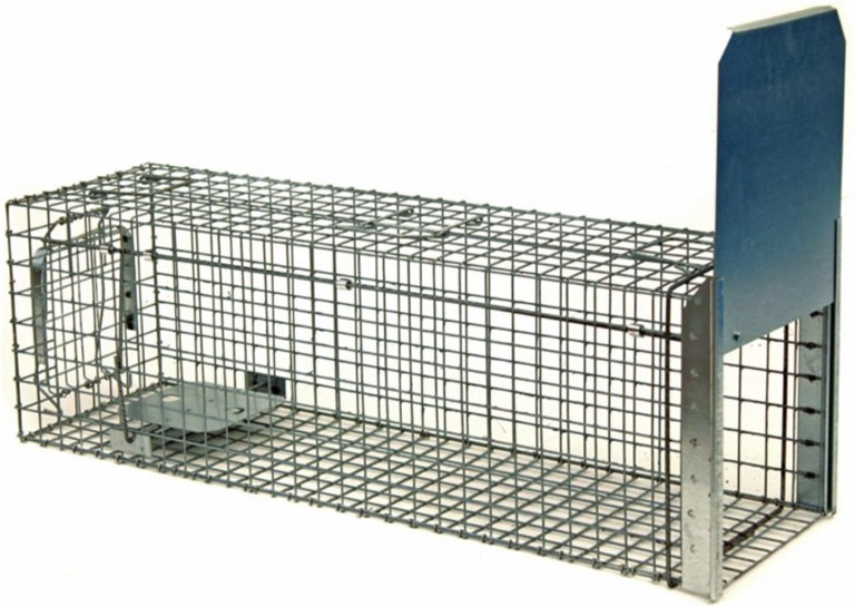 Pasce na živočíchy