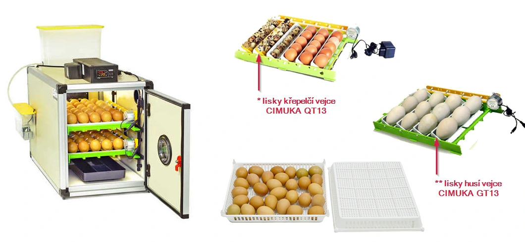 convert_to_jpg_691f0b6c307f4