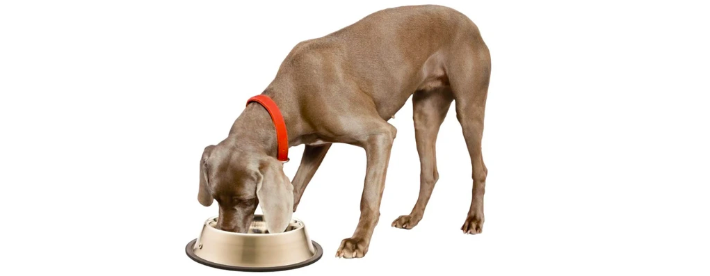 Snímka obrazovky 2024-09-28 o 22.31.30