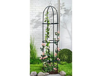 100467 1 opera na rostliny ruze1