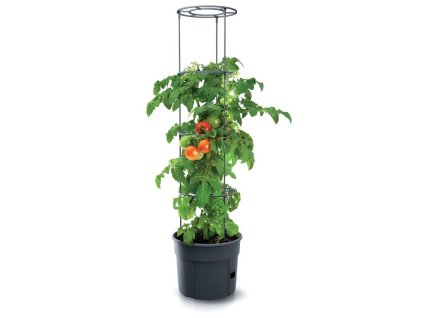 3485046 2 kvetinac na pestovani rajcat tomato grower antracit 29 5cm max vyska 115 2cm