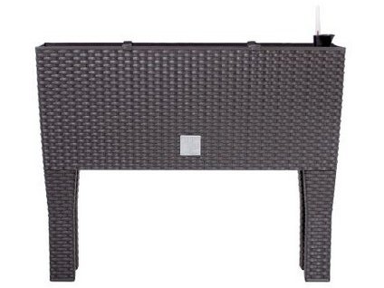 Truhlica RATO CASE HIGH 60 x 25 cm, tmavohnedá