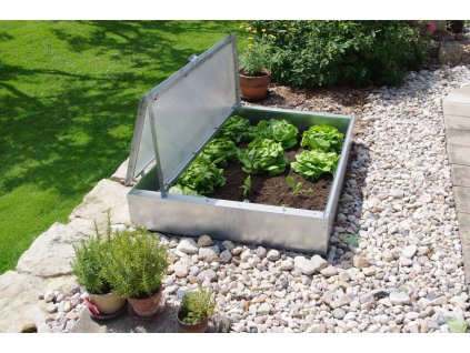 120210 pareniste limes 31d