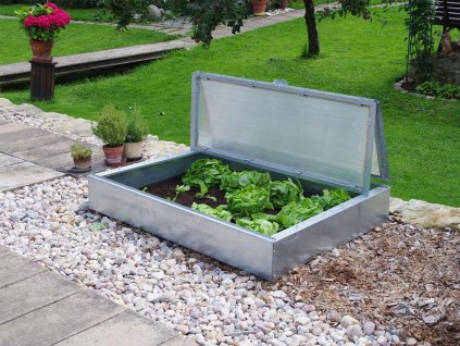 pareniste limes sp 31