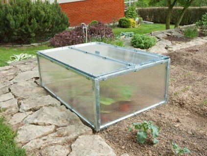 pareniste limes sp 51