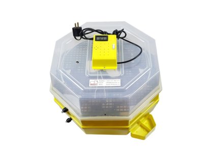 3514407 lihen na vejce cleo 5x2 dth