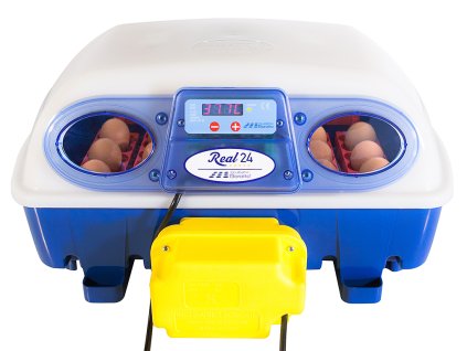 3545512 automaticka lihen na vejce borotto real 24 automatic