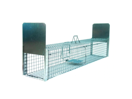 3548623 past12 750x750