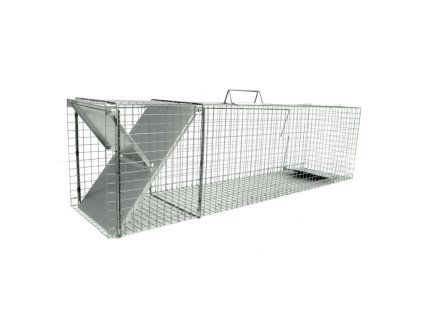 3548641 past6 750x750