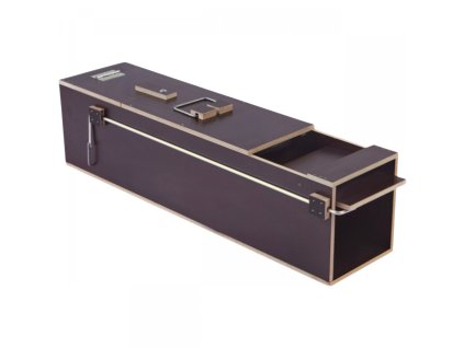 3548695 past 204 750x750