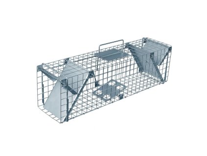 3548650 past 203 750x750