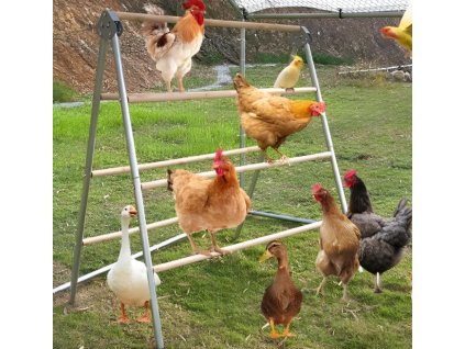 3549286 1 hrad do kurniku