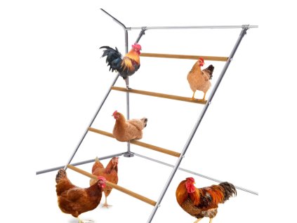 3549283 1 hrad do kurniku