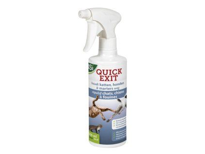 quickexit