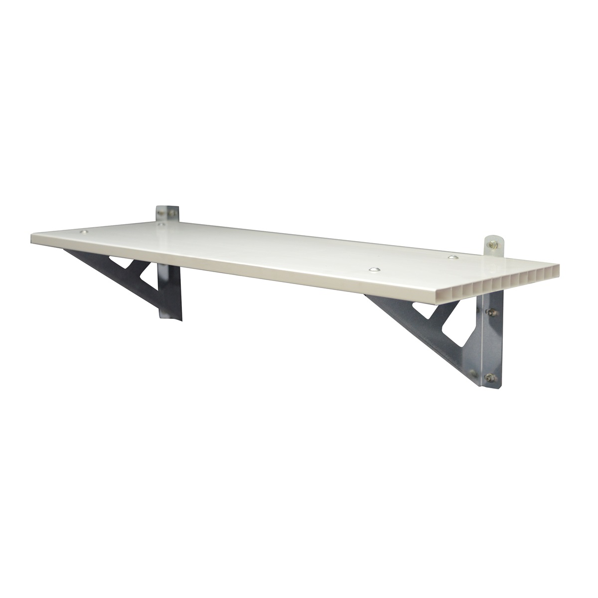 E-shop Palram Univerzálna polica pre Skylight GD702562