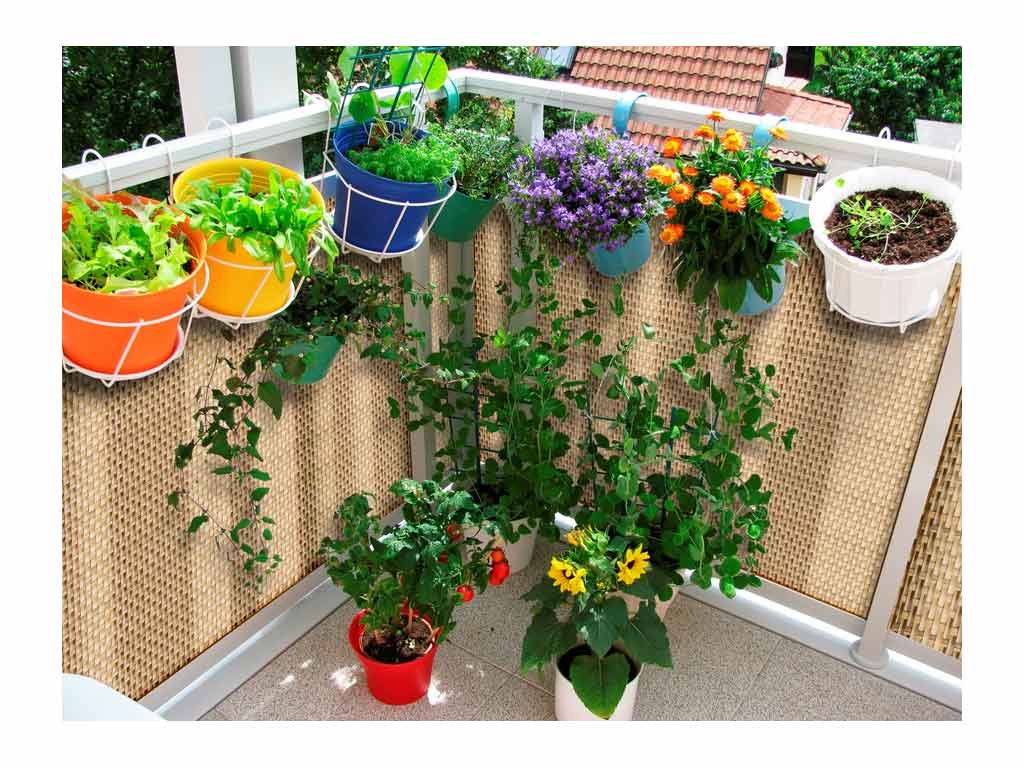 Zástena na balkón LEGI 5 x 1 m, ratan, žíhaná prírodná ZJSG03611RD08