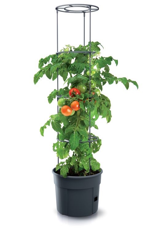 E-shop Kvetináč pre pestovanie paradajok a iných pnúcich rastlín, Grower antracit 39,2 cm PRIPOM400-S433