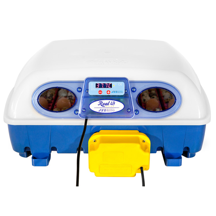 E-shop Agrofortel Automatická liaheň na vajcia BOROTTO REAL 49 AUTOMATIC