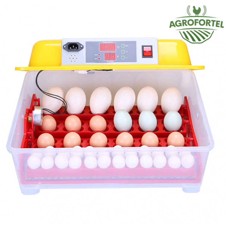 E-shop Agrofortel Automatická digitálna liaheň WQ-24. Pre 24/96 vajec.