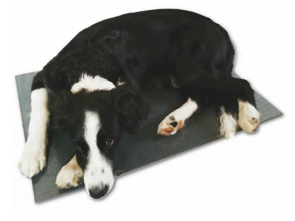 Bravson Výhrevná podložka pre psov THERMODOG 3113017 - vykurovacia doska 40X60cm