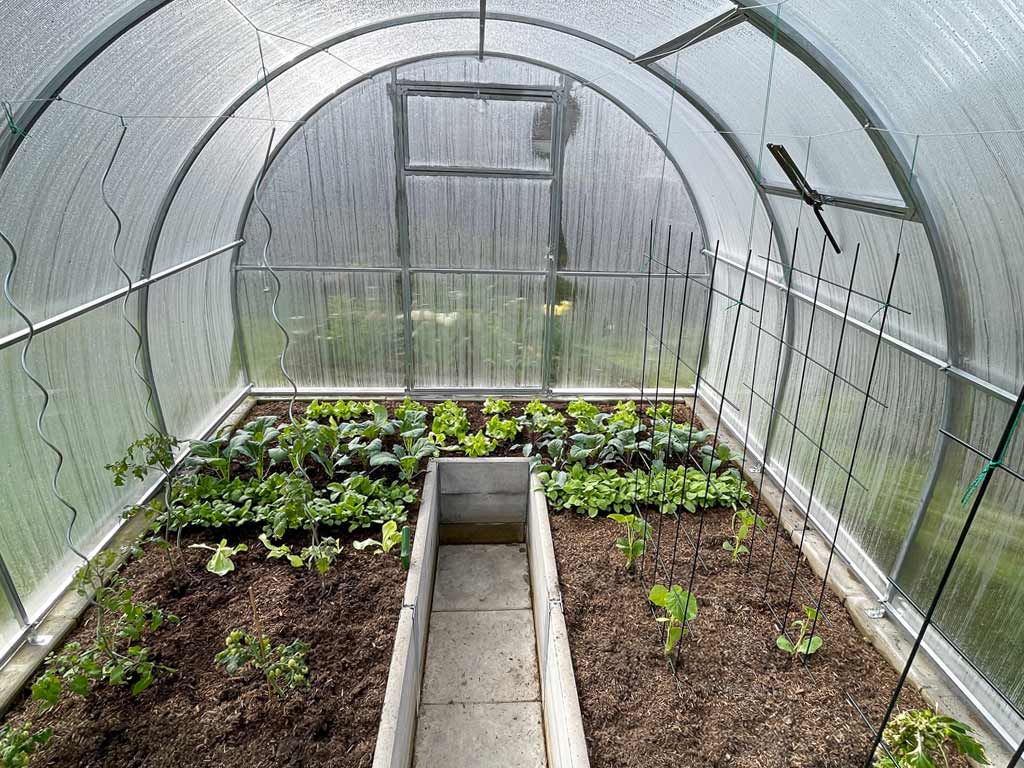 Polykarbonátový skleník LEGI OREGANO 6 x 3 m, 6 mm GA179970-6MM