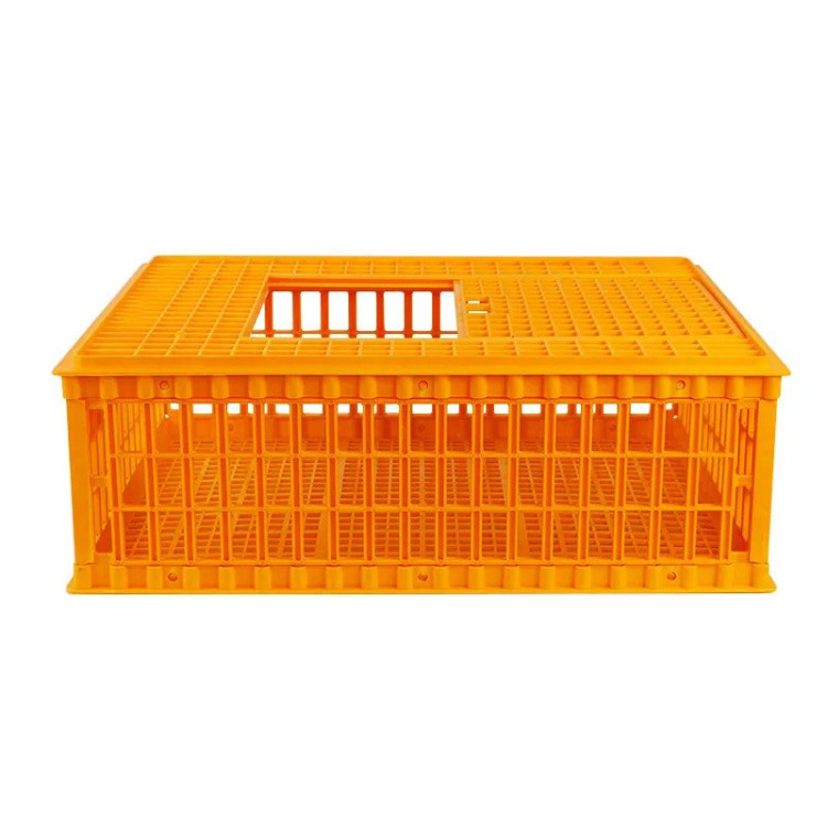 E-shop Agrofortel Prepravný box na hydinu AGF96 - 96 x 55 x 27 cm, skladací