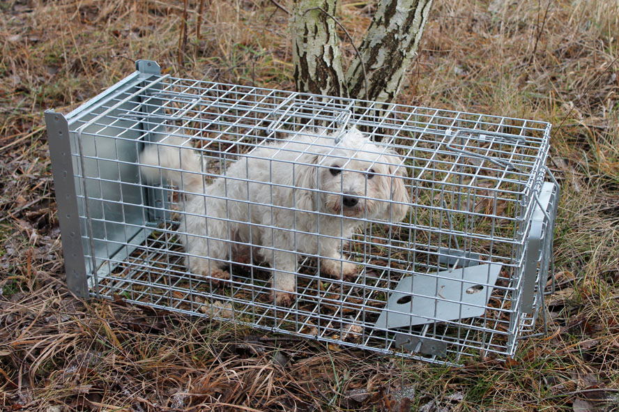 Bravson Profesionálna pasca na líšky, kuny a mačky TRAP ST102x34x34