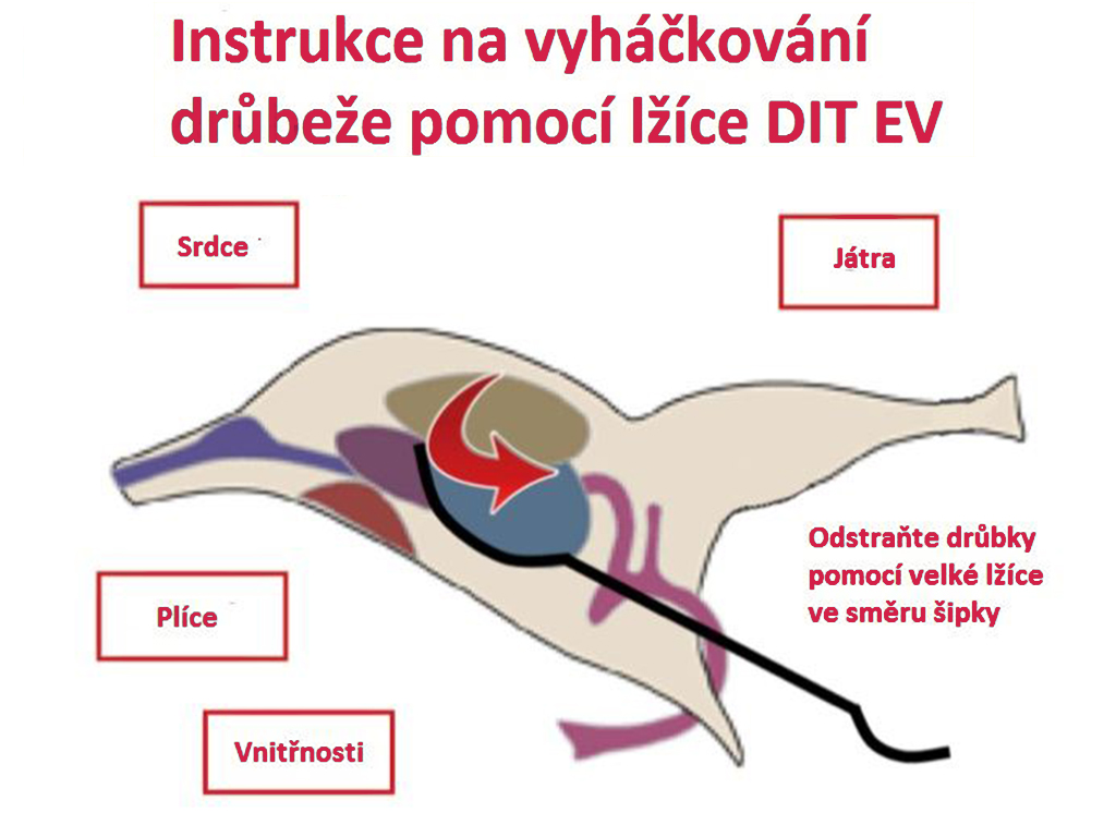 Bravson Nerezová lyžica na vyvrhnutie vnútorností SPIUMATRICE DIT EV