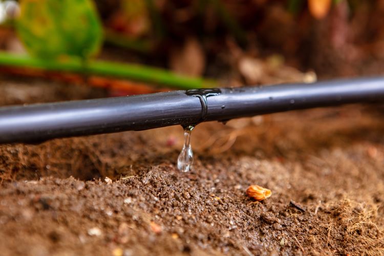 Bradas Zostava kvapkovej závlahy WATER DRIP - 50 m