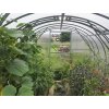 10470 7 zahradny sklenik gardentec classic profi 8 x 3 m