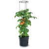 3503545 2 kvetinac na pestovani rajcat tomato grower antracit 29 5cm max vyska 115 2cm