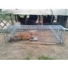 3545335 profesionalni past na lisky kuny vydry a kocky trap h150x34x34v2