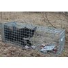 3545428 6 profesionalni past na lisky kuny vydry a kocky trap st120x34x34v2