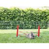 3545557 3 agility stredni prekazka pro kraliky a jine hlodavce kerbl 82859 upright jump 30x62cm