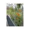 3483534 5 zahradni sklenik gardentec standard profi 6 mm 6 x 2 5 m